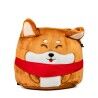 Shiba