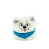 Samoyed Dog