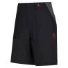 Black / Cherry Tomato