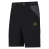 Black / Lime Punch