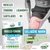 Punch Power Muscles-Tendons Collagene Marin Poudre 300 g | Hardloop