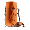 Chestnut / Umbra