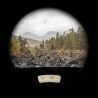 Silva Eterna Navigator 3 7X50 - Binoculars | Hardloop
