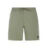 Artichoke green