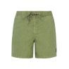 Artichoke green