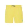 Maize Yellow