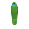 Gecko Green