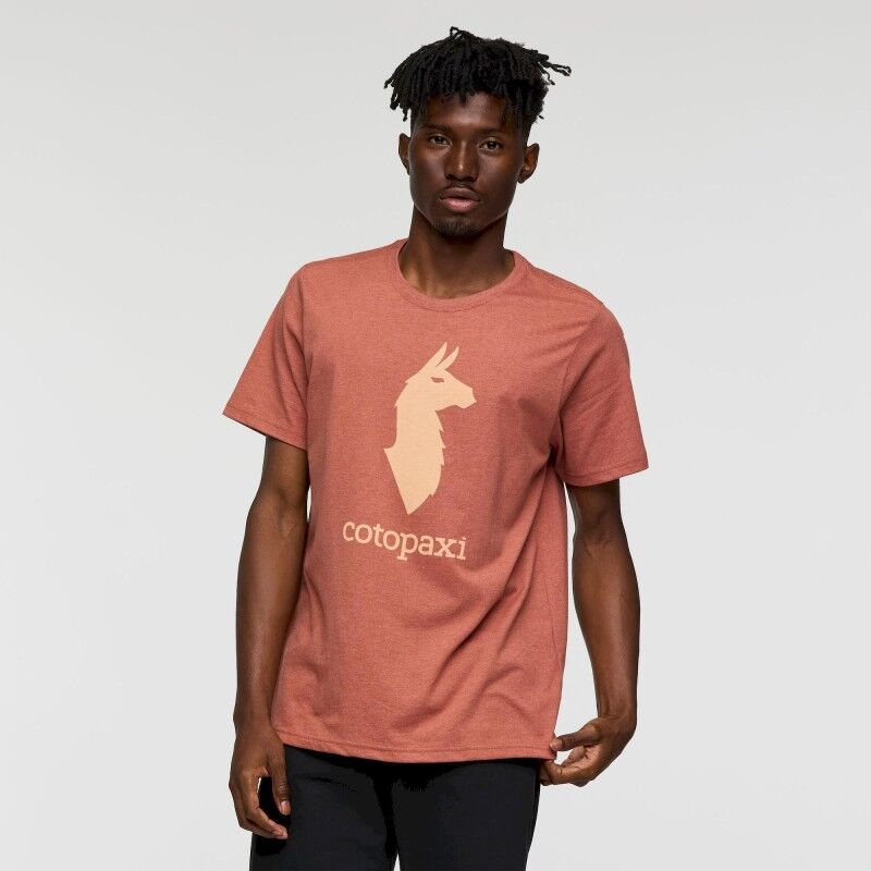 Llama T-Shirt - T-shirt - Uomo