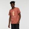 Cotopaxi Llama T-Shirt - Camiseta - Hombre | Hardloop