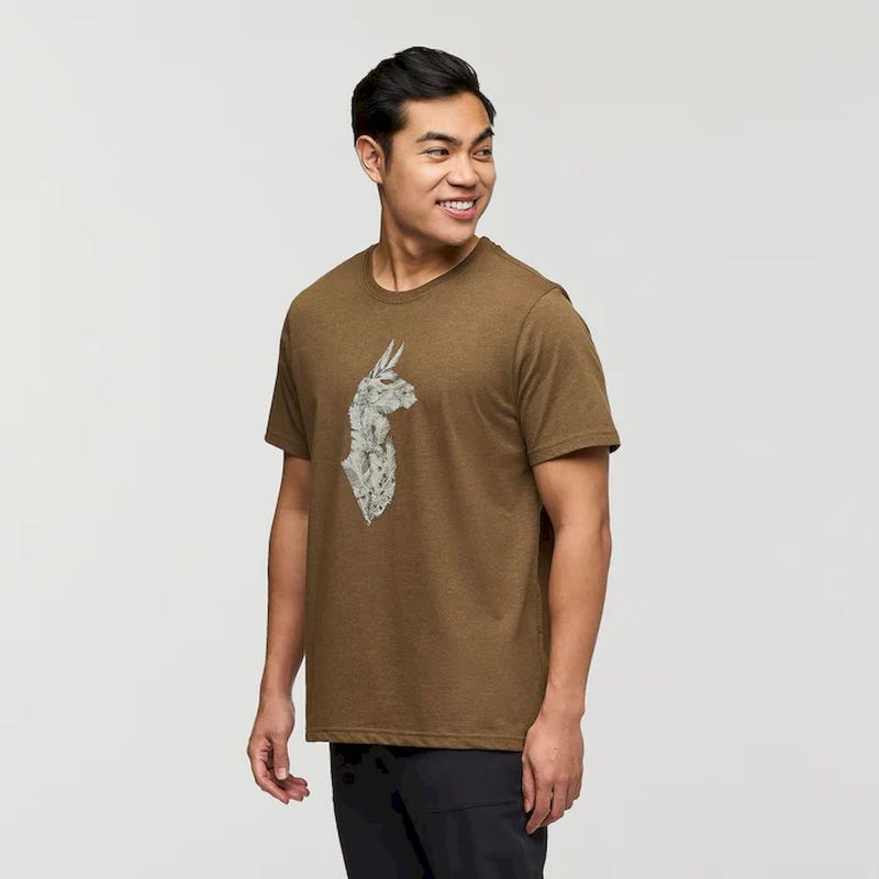 Cotopaxi Into the Pines - T-shirt homem | Hardloop