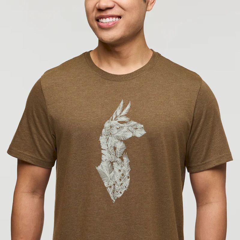 Cotopaxi Into the Pines - T-shirt - Men's | Hardloop