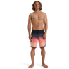 Billabong 73 Theme Pro - Boardshorts - Herren | Hardloop