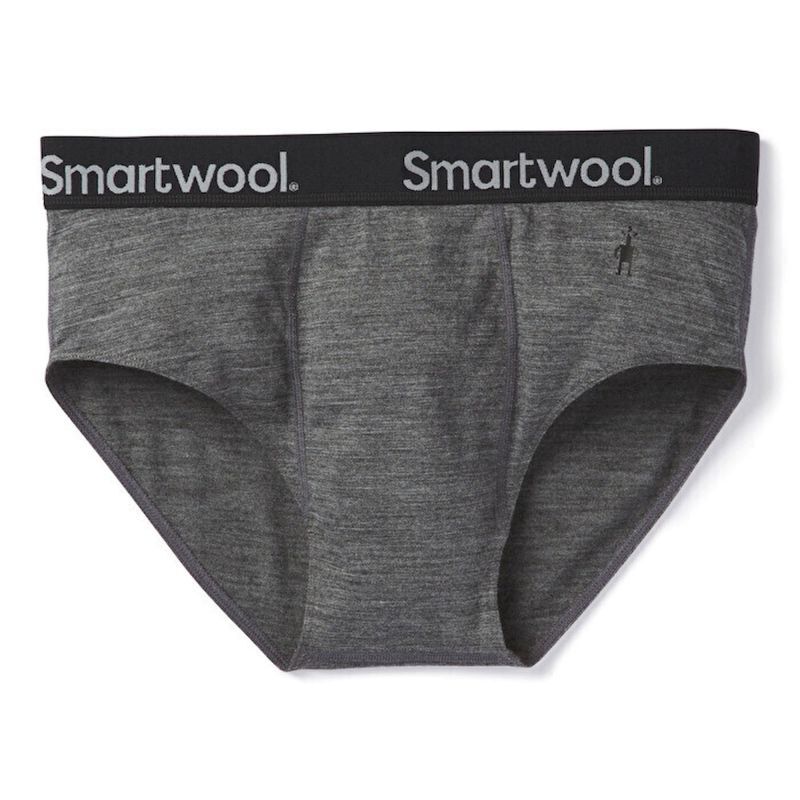 Smartwool Active Brief Boxed - Majtki męskie | Hardloop
