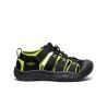 Black / Lime Green