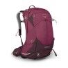 Elderberry Purple / Chiru Tan