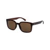 Brown Tortoise / Brown