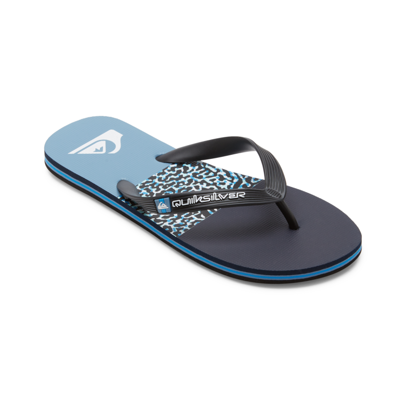 Quiksilver Molokai Stripe - Flip flops - Men's | Hardloop