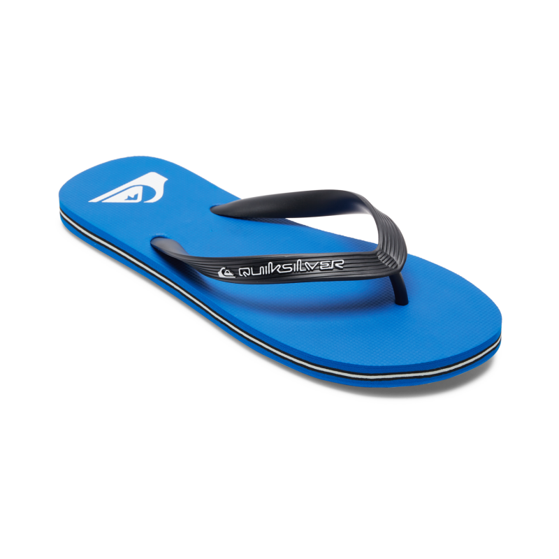 Quiksilver Molokai Core - Japonki meskie | Hardloop