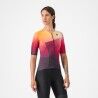 Dark Night Shade / Vivid Orange-