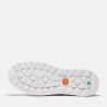 Timberland Maple Grove Low Lace-Up - Chaussures lifestyle homme | Hardloop