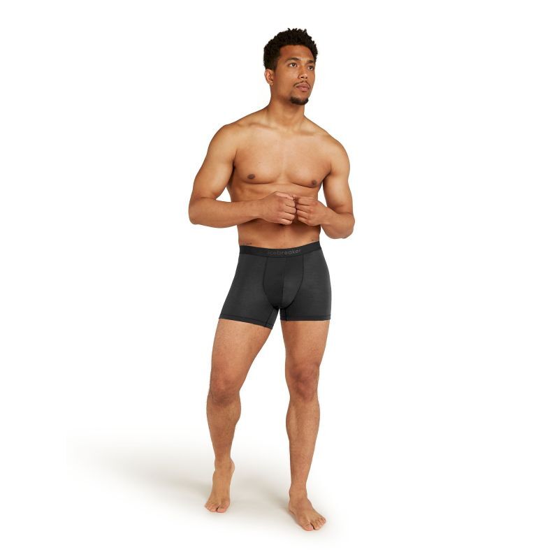 Icebreaker Anatomica Boxers - Unterwäsche - Herren
