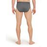 Icebreaker - Anatomica Briefs - Slip - Uomo