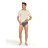 Icebreaker Anatomica Briefs - Undertøj