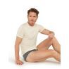 Icebreaker - Anatomica Briefs - Slip - Uomo
