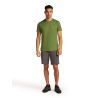 icebreaker Merino 150 Tech Lite SS Tee Hike Naturally - T-shirt en laine mérinos homme | Hardloop