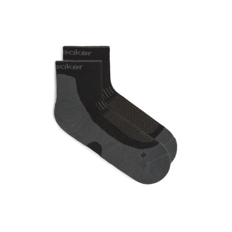 icebreaker Merino Hike+ Light Mini - Merinosocken - Herren | Hardloop