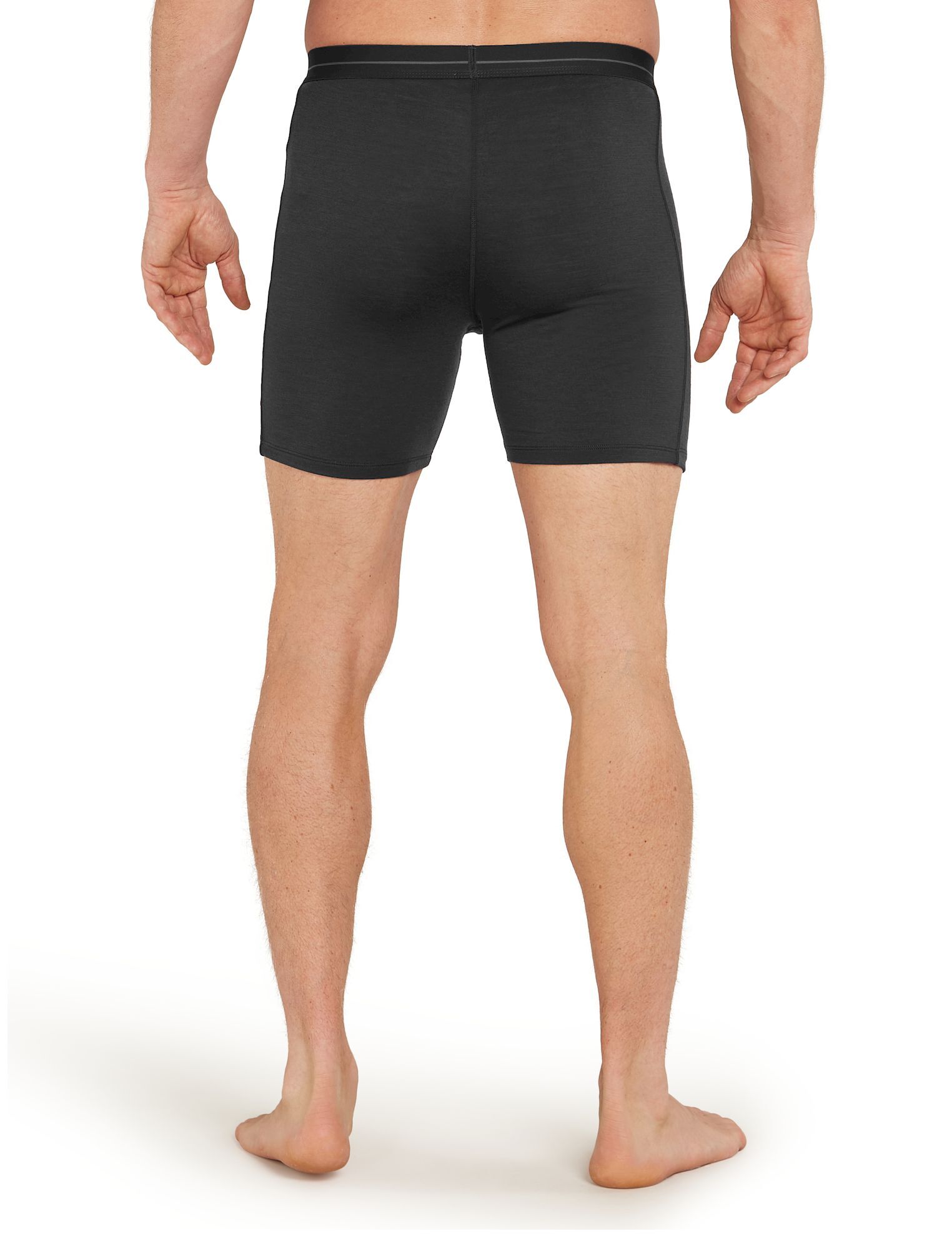Icebreaker Mens Anatomica Long Boxers - Bokserki | Hardloop