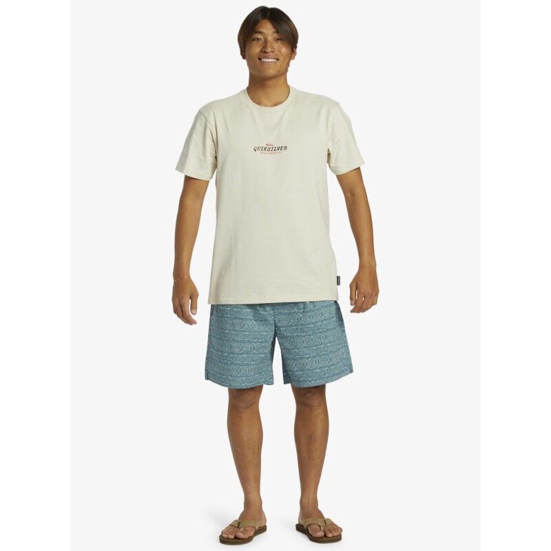 Quiksilver Taxer Boardshorts Men's Hardloop