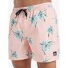 Quiksilver Everyday Straight 15" - Badeshorts | Hardloop