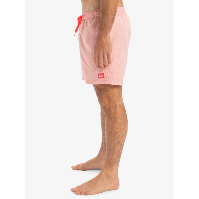 Quiksilver Everyday Deluxe 15" - Bañador | Hardloop