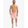 Quiksilver Everyday Deluxe 15" - Badbyxa | Hardloop