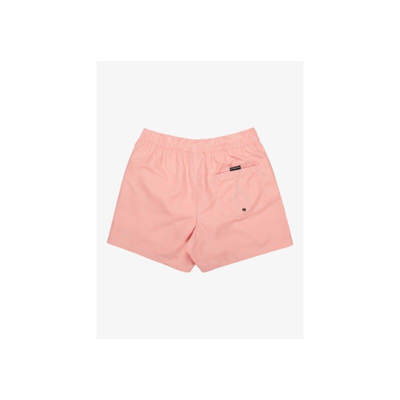 Quiksilver Everyday Deluxe 15" - Bañador | Hardloop
