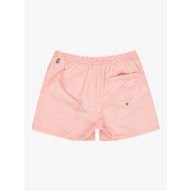 Quiksilver Everyday Deluxe 15" - Bañador | Hardloop