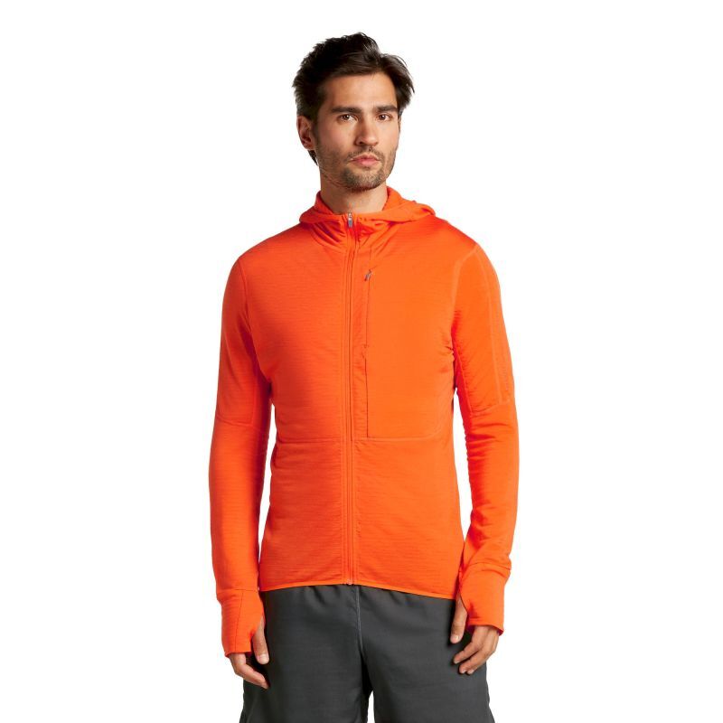 icebreaker 200 RealFleece Descender LS Zip Hoodie - Polaire en laine mérinos homme | Hardloop