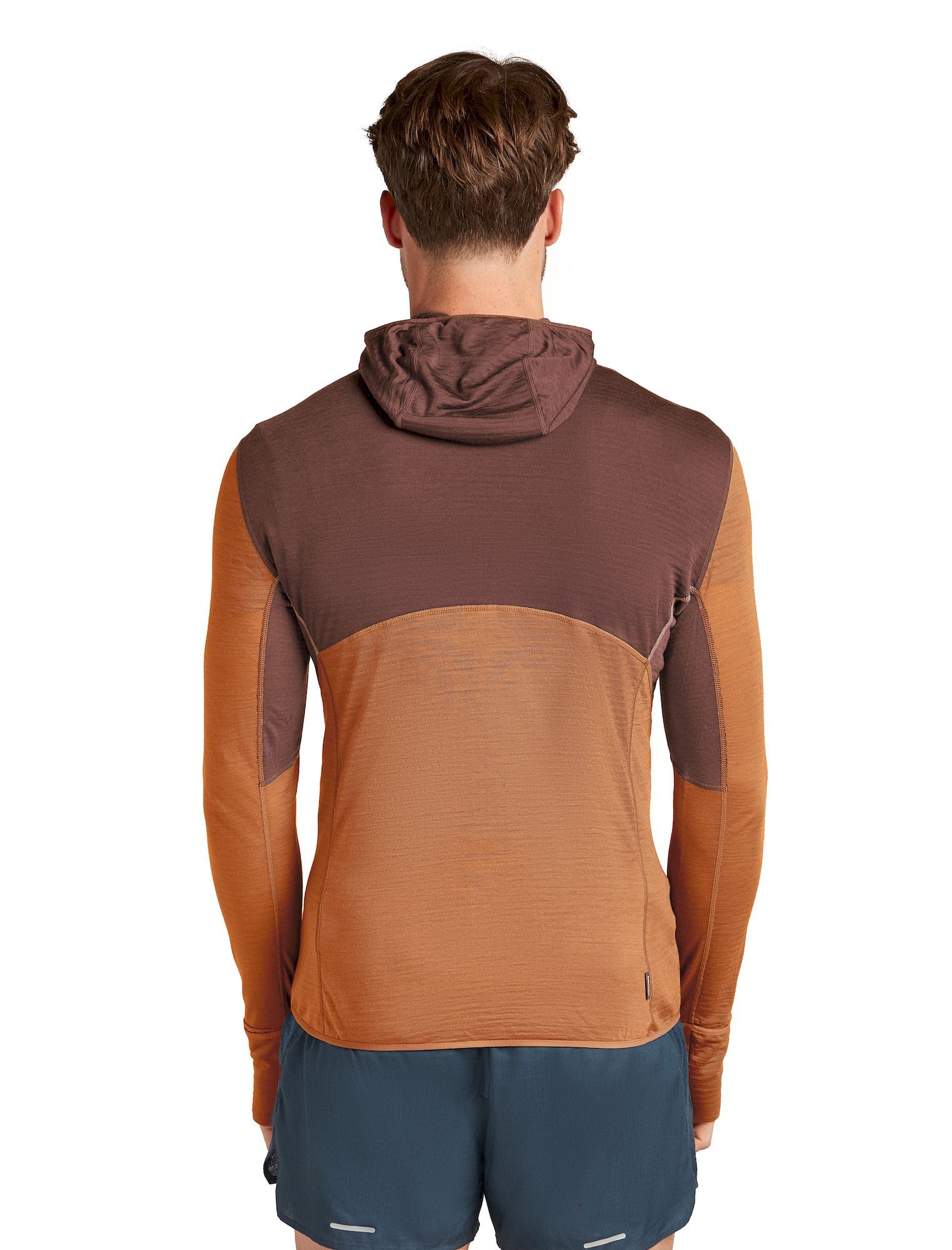 icebreaker 200 RealFleece Descender LS Zip Hoodie - Polar z wełny Merino® męski | Hardloop