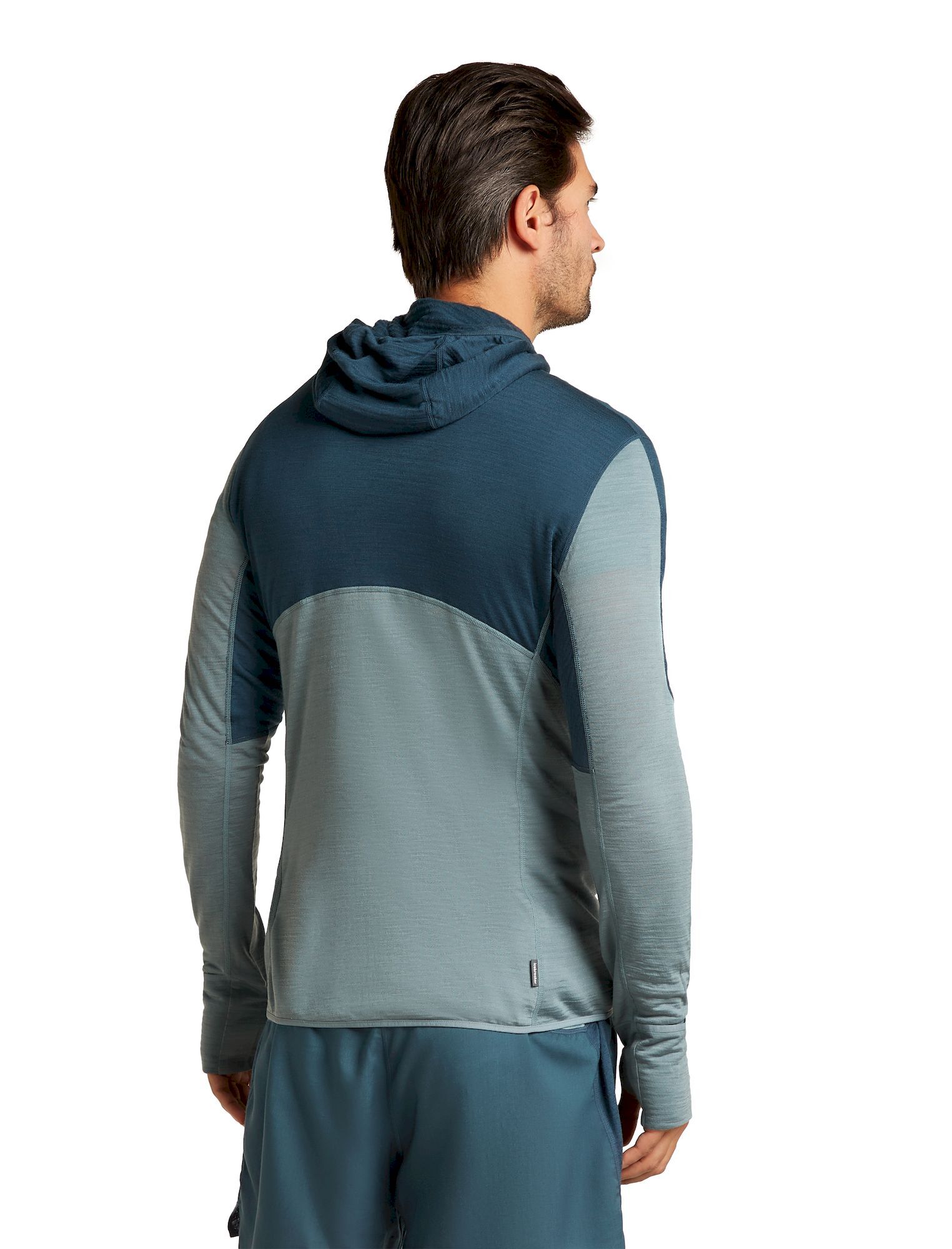 icebreaker 200 RealFleece Descender LS Zip Hoodie - Giacca in pile di merino - Uomo | Hardloop