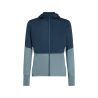 icebreaker 200 RealFleece Descender LS Zip Hoodie - Giacca in pile di merino - Uomo | Hardloop