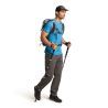 icebreaker Merino 150 Tech Lite SS Tee Hike Together - Koszulka z wełny Merino® męska | Hardloop