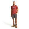 icebreaker Merino 150 Tech Lite SS Tee Hike Together - Maglia merino - Uomo | Hardloop
