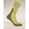 Olive / Loden / Ashen