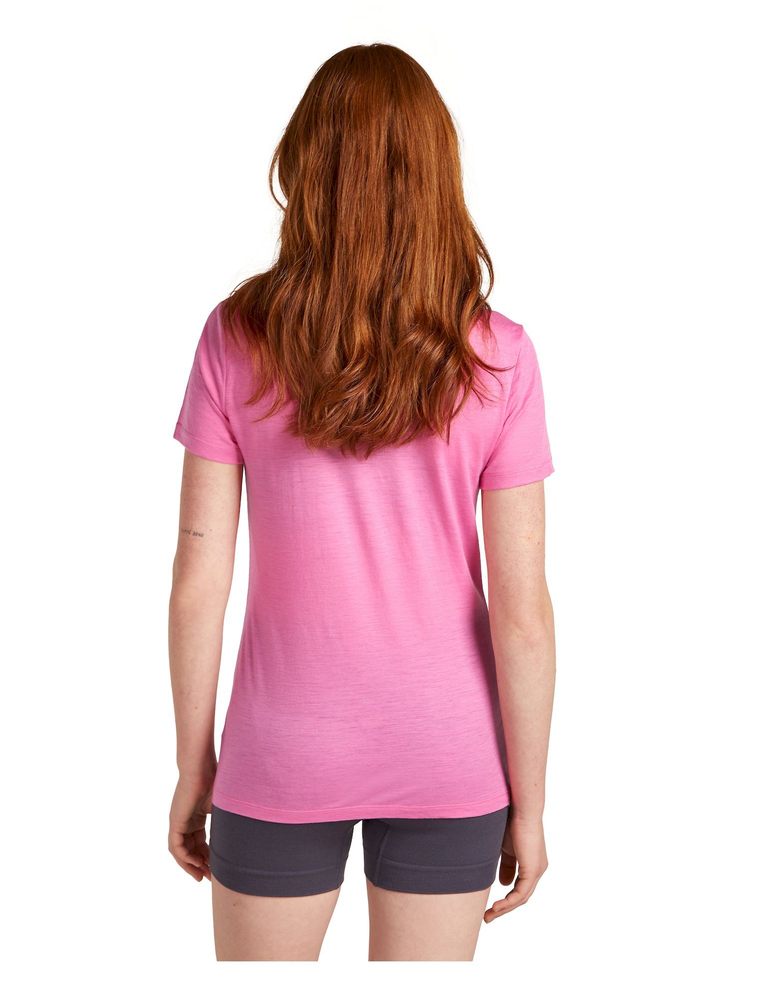 icebreaker Merino 150 Tech Lite SS Tee Van Camp - Merino shirt - Women's | Hardloop