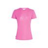 icebreaker Merino 150 Tech Lite SS Tee Van Camp - Merino shirt - Women's | Hardloop
