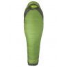 Wheatgrass / Crocodile