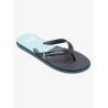 Quiksilver Molokai Stripe - Flip flops - Men's | Hardloop