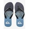 Quiksilver Molokai Stripe - Flip flops - Men's | Hardloop