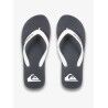 Quiksilver Molokai Core - Flip-Flops - Herren | Hardloop
